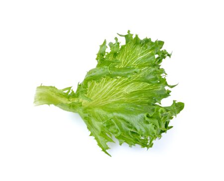 green lettuce leaf on white backgroundの写真素材