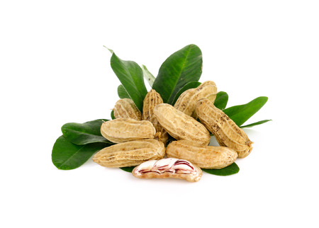 Peanut  and leaves on a white background
