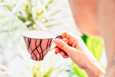 vintage tee cup on green flower background, the sun shines through the window, woman handの写真素材