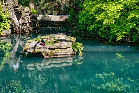VANCOUVER - MAY 05 2019: Downtown Vancouver, Canada. Dr. Sun Yat-Sen Classical Chinese Garden in Vancouver, British Columbia, Canadaのeditorial素材