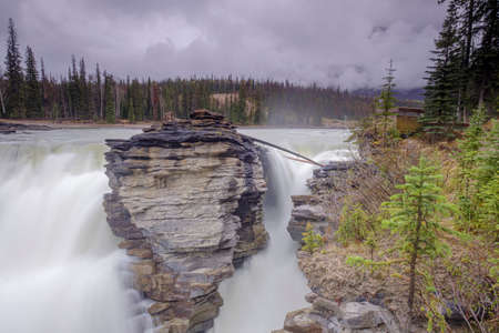 Athabasca Falls in the Rocky Mountains of Canada. Between the cliffs above the water stuck logs. Cloudy day in Jasper National Parkの写真素材