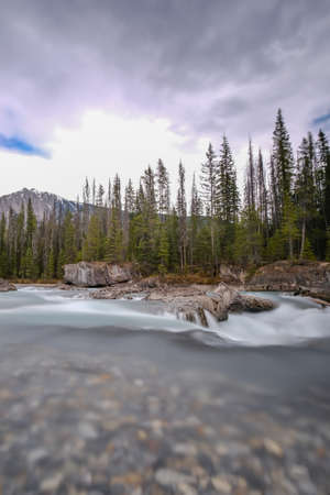 Small waterfall in a forest, Mount Revelstoke National Park bij Revelstokeの写真素材