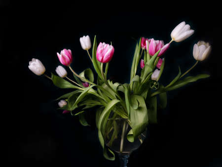 Bouquet of pink white and purple tulips in a vase on a black background, spring flowers in a vase, copy spaceの写真素材