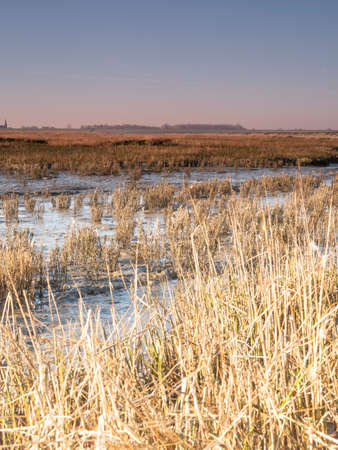 Aerial view of horizon over sea, with grass in the foreground, area Waddensea in Province of...