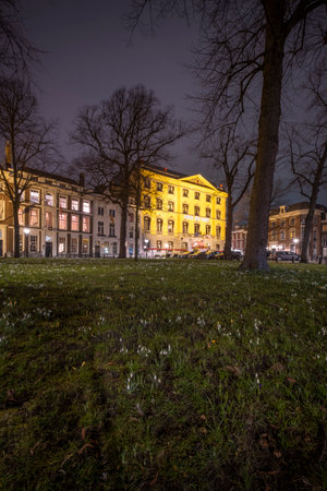 The Hague - February 18 2019: The Hague, The Netherlands. Hotel de Indes in The Hague at dusk, long exposure , grass field with trees in front of the building, The Netherlandsのeditorial素材