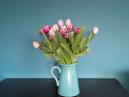Fresh pink and red tulip flowers bouquet in a jug on a brown table in front of green wall. View with copy space.の写真素材