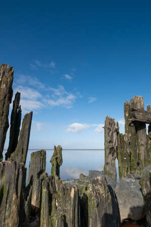 The wadden sea at paesens moddergat, wooden poles, sea and sky.の写真素材