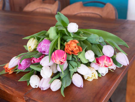 multi-colored tulips are loose on a wooden tableの写真素材