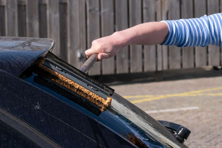 Woman cleans back glass of the car with a sponge and water at a gas station
