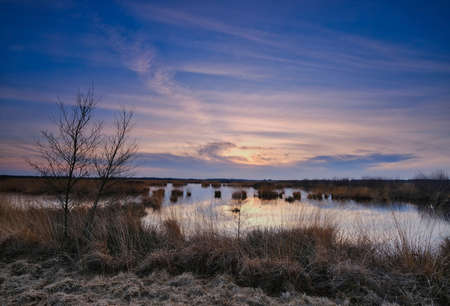 Colorful sky and colorful water in lake reflected in evening, focus on grass in foreground.の写真素材