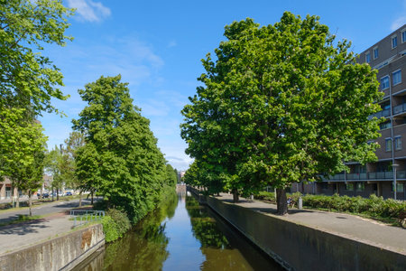 The Hague, The Netherlands - May 15 2020: Canal with reflection of trees, one man sits in the park, street filled with cars and houses in the Hague, the Netherlandsのeditorial素材