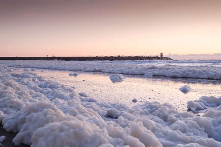 Sea foam, a habitat for marine microorganisms such as zooplankton, phytoplankton, algae, and...