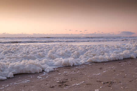 Sea foam, a habitat for marine microorganisms such as zooplankton, phytoplankton, algae, and protozoans. On coastal beach at sunset.の写真素材