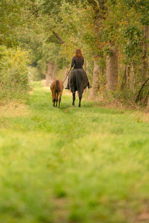 Young woman riding without saddle on her beautiful brown mare, yellow foal next to them, in the autumn forest. seen from behind.の写真素材