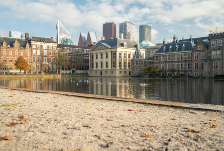 The Hague, The Netherlands - November 10, 2020: Peace and quiet at the courtyard, due to the lockdown by Covid-19. Only seagulls, no peopleのeditorial素材
