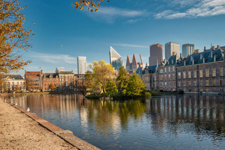 The Hague, The Netherlands - November 9, 2020: Peace and quiet at the courtyard, due to the lockdown by Covid-19. Only seagulls, no peopleのeditorial素材