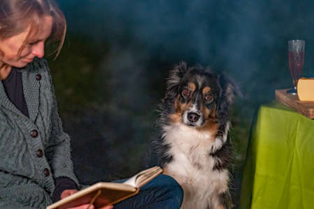 Young woman and her Australian Shepherd outside by a campfire. Reading a book at dusk. Bread, cheese and wine on the tableの写真素材