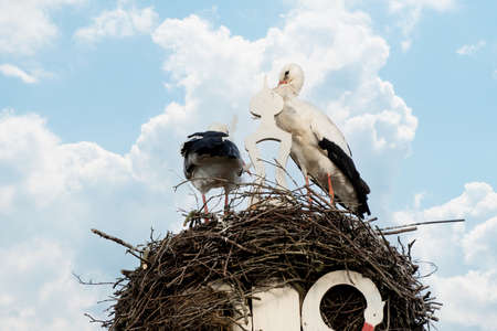 Two storks build a nest on the chimney of a house. Above an owl sign with white swans. A triangle and decoration on it. Dramatic Sunset, Skyscapeの写真素材