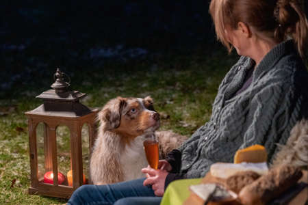Young woman drinks red wine by the campfire in the forest. Her Australian Shepperd is lying next to her on a rug in the grass. The dog looks at its owner. Enjoying food and drink in leisure time in winter.の写真素材