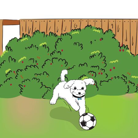 dog running catch the ball in garden vectorのイラスト素材