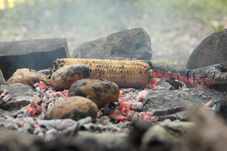 Roasted maize & potatoes on the embersの写真素材
