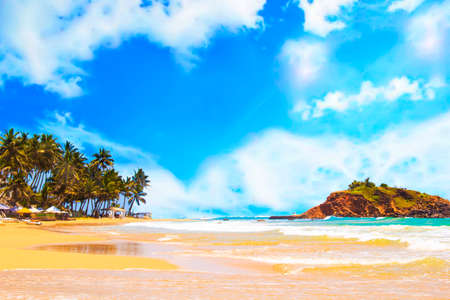 Beautiful view of the tropical beach of Mirissa on Sri Lanka on a sunny dayの写真素材