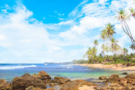 Beautiful view of the tropical beach of Sri Lanka on a sunny dayの写真素材