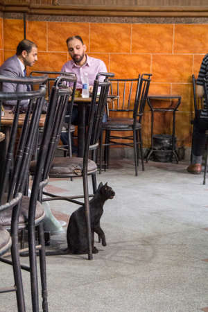 Interior of an old cafe in the center of Cairo, Egyptのeditorial素材