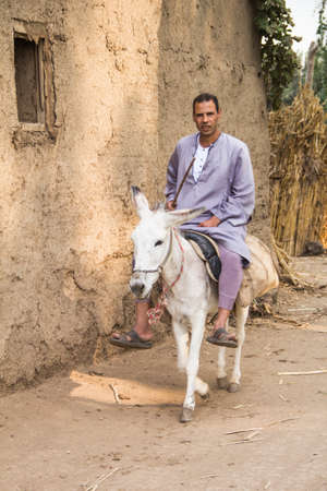 CAIRO, EGYPT - DECEMBER 29, 2021: A man rides a donkey Traditional Egyptian village near Cairo, Egyptのeditorial素材