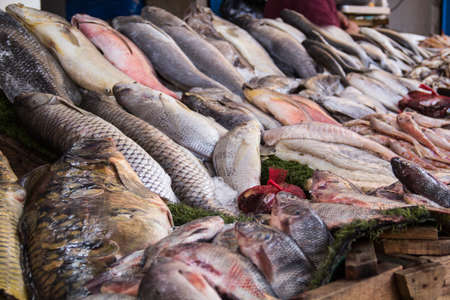Trade stalls at the Central Fish Market in Cairo, Egyptの写真素材
