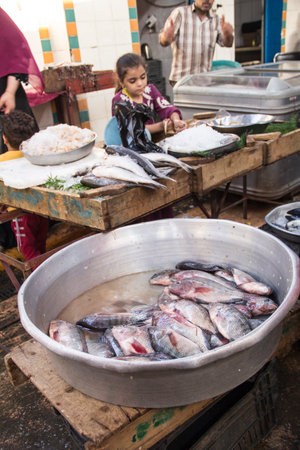 CAIRO, EGYPT - DECEMBER 29, 2021: Seller at the Central Fish Market in Cairo, Egyptのeditorial素材