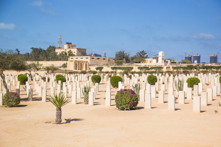Beautiful view of El Alamein British War Cemetery in El Alamein, Egyptのeditorial素材