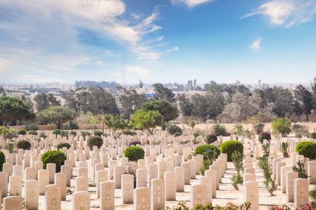 Beautiful view of El Alamein British War Cemetery in El Alamein, Egyptのeditorial素材