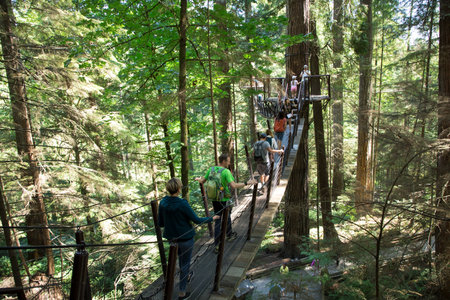 Beautiful view of Capilano Suspension Bridge Park in Vancouver, Canadaのeditorial素材