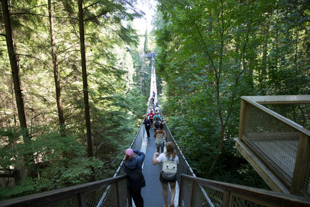Beautiful view of the Capilano Suspension Bridge Park in Vancouver, Canadaのeditorial素材