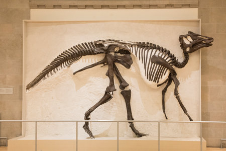 A beautiful view inside the Royal Museum in Toronto, Canadaのeditorial素材