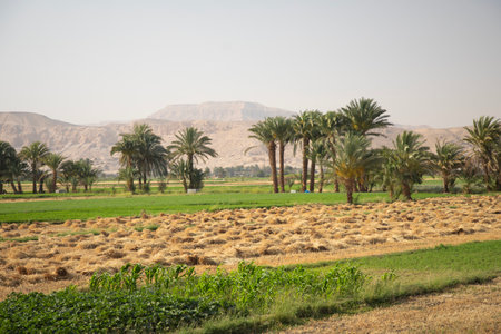 Beautiful view of village landscape in Luxor, Egyptの写真素材