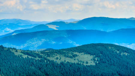 dew drops of morning dew forest woodの写真素材