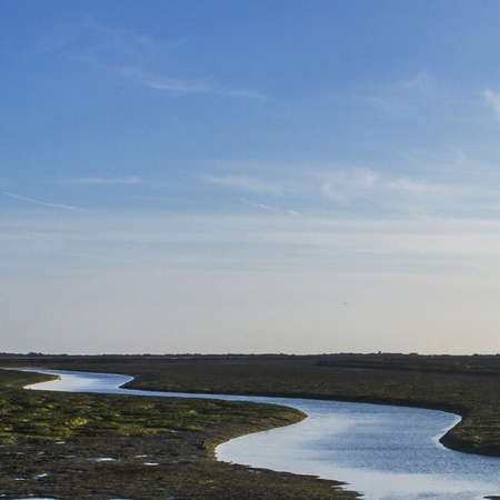 blue sky river swamp beauty season woodの写真素材