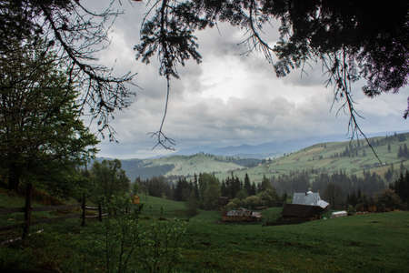 Early morning sun rays illuminate the dawn beautiful Carpathian landscape in the mist on the background of ancient trees are blooming field of summerの写真素材