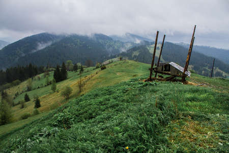 Early morning sun rays illuminate the dawn beautiful Carpathian landscape in the mist on the background of ancient trees are blooming field of summerの写真素材