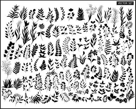 Set of vector plants and twigs on a light gray backgroundのイラスト素材