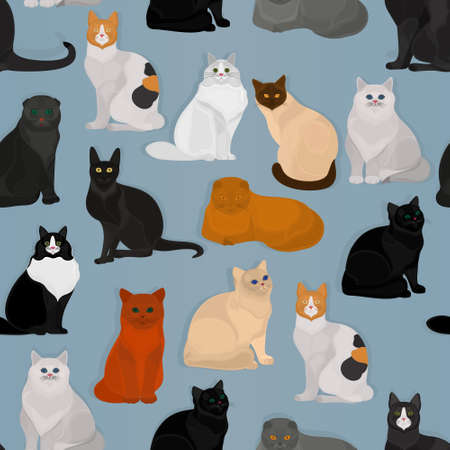Seamless vector pattern with different cats on a blue backgroundのイラスト素材
