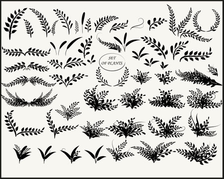 Set of plants, twigs and bouquets on a light backgroundのイラスト素材