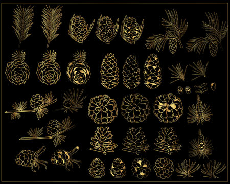 Set of cones in gold on a black background. Cedar cones and twigs.Golden conesのイラスト素材