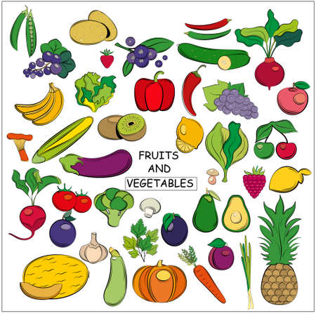 Set of fruits and vegetables on a white background. Line art style.のイラスト素材