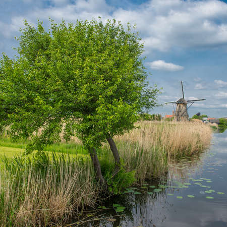 the netherlands kinderdijk Brings together an impressive number of windmills used as a water pump to keep the channel level and constant polder.の写真素材