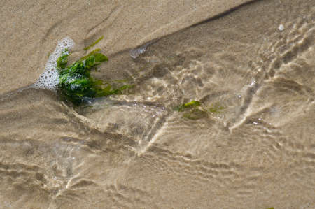 WATER AND SAND ON the beach of Cap Blanc-nez