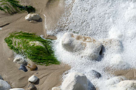 cume, seaweed, sand and rock on the beach of Cap Blanc-nezの写真素材