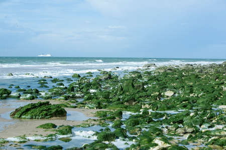 the beach of Cap Blanc-nezの写真素材